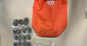 तणाची पिशवी आणि रोख रक्कम चुकून न्यूझीलंडमधील एका धर्मादाय दुकानात दान करण्यात आली