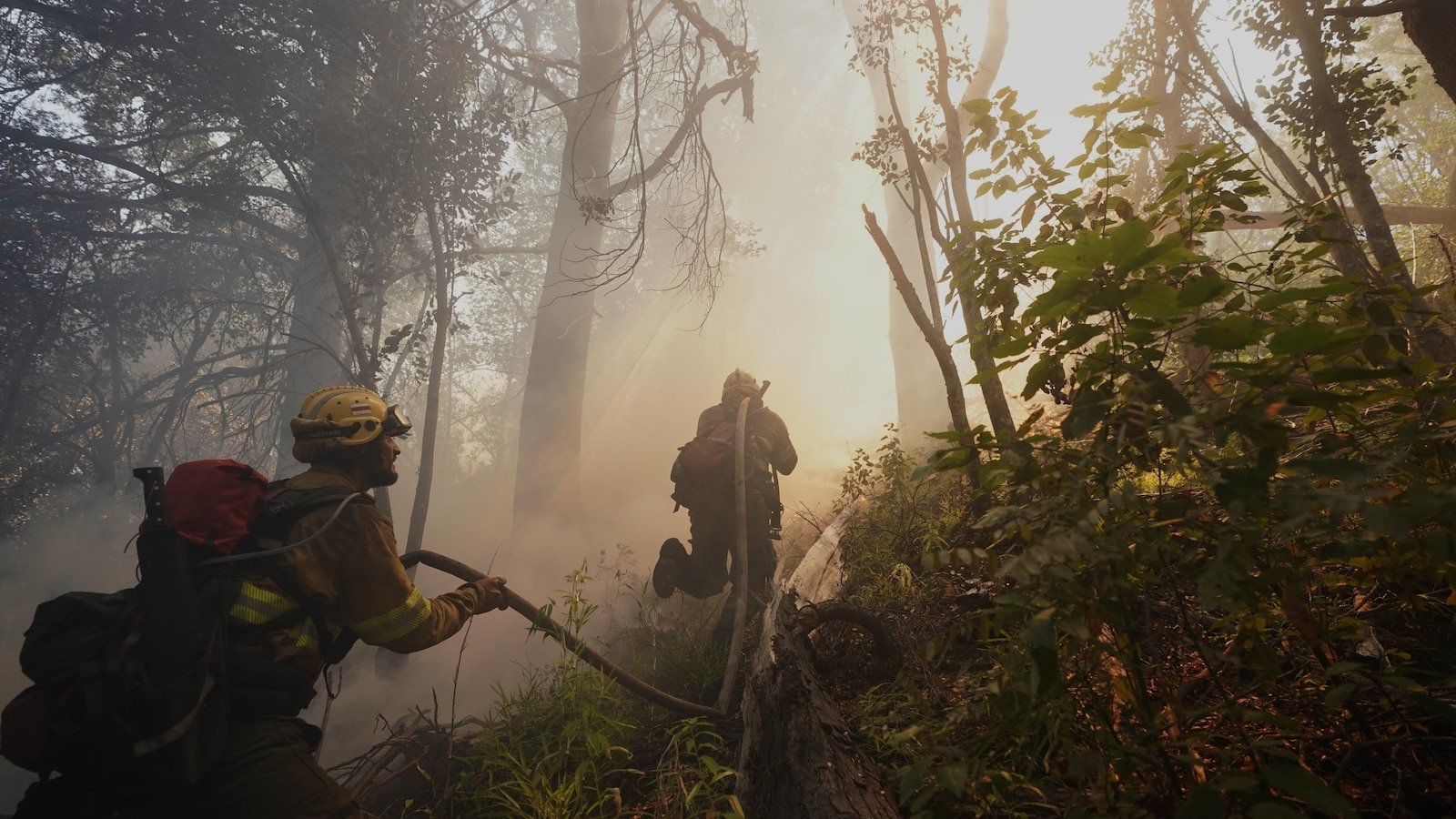 अर्जेंटिनाने मूळ पॅटागोनिया जंगलाला आग लावली, माईलच्या कठोरतेवर टीका केली
